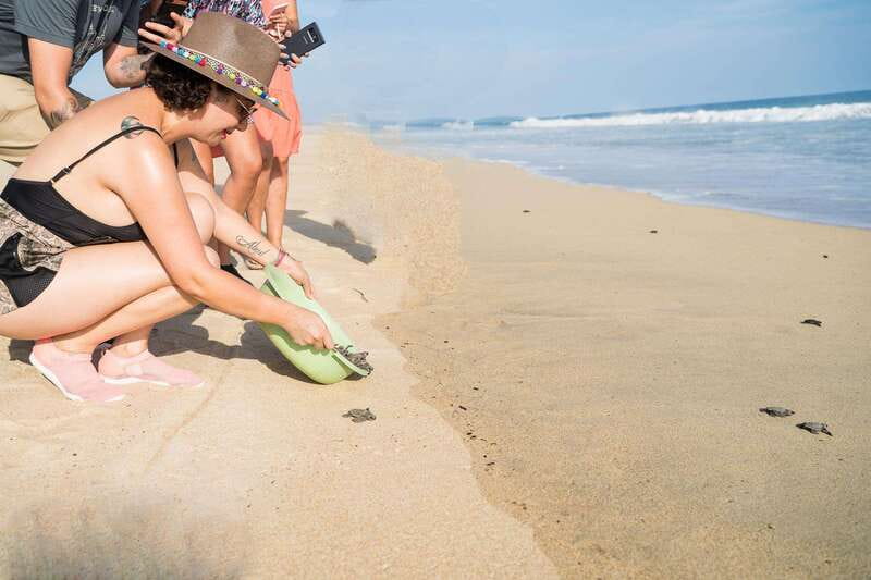 Puerto Escondido: Turtle Release Experience - Key points to know before you go