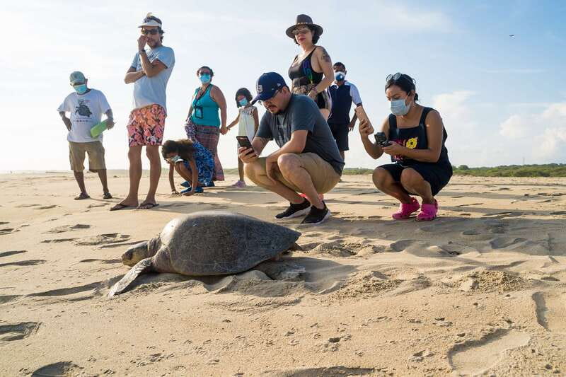 Puerto Escondido: Turtle Release Experience - Arriving at the turtle camp
