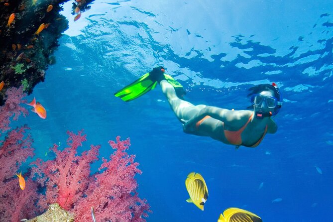 Puerto Morelos Catamaran Reef Sail and Snorkel - A compact catamaran day from Cancun