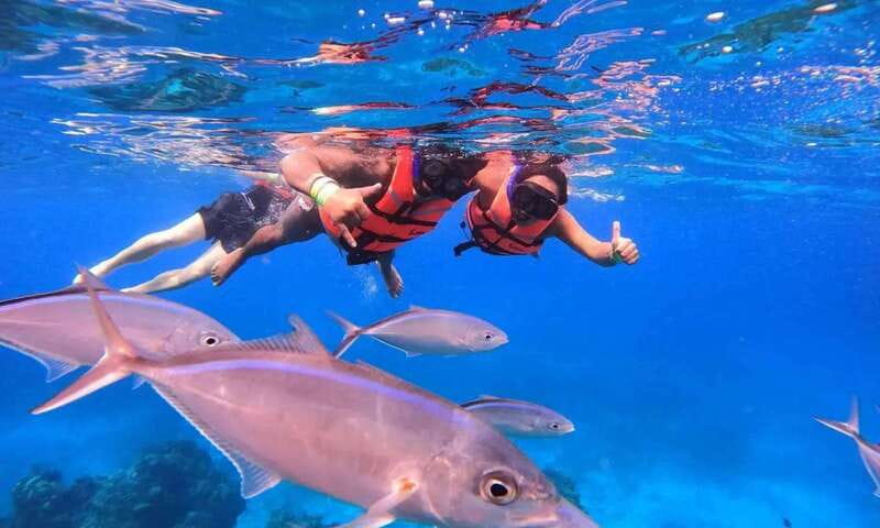 Puerto Morelos: Guided Snorkeling Tour with Gear & Fees - First Snorkeling Site: Your Introduction to the Reef