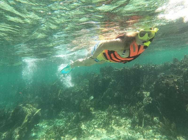 Puerto Morelos: Guided Snorkeling Tour with Gear & Fees - What You Might See Beneath the Surface
