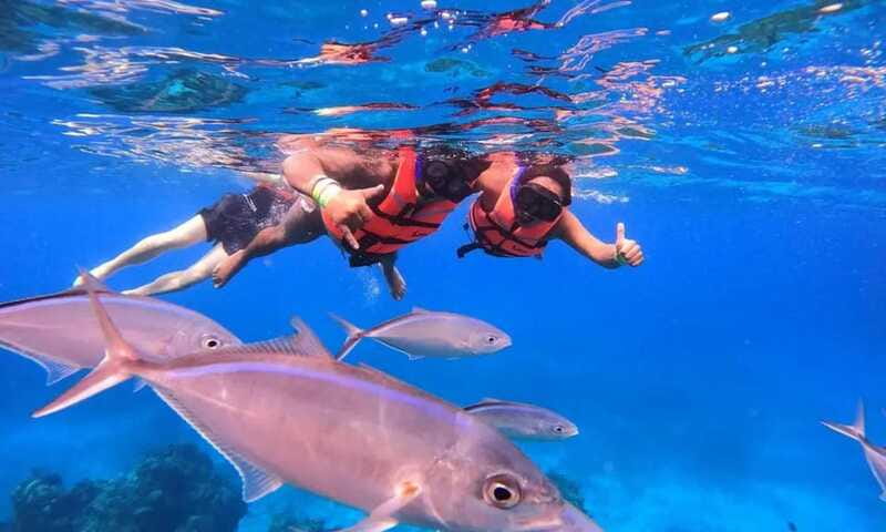 Puerto Morelos: Guided Snorkeling Tour with Gear & Fees - Is Two Hours Enough?