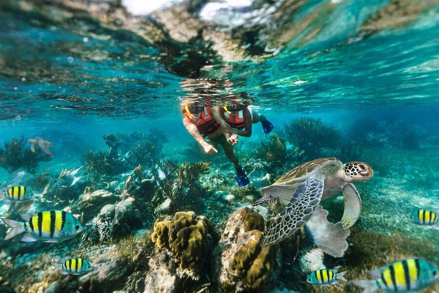 Puerto Morelos: National Reef Park Snorkeling & Beach Lunch - Key points to know before booking