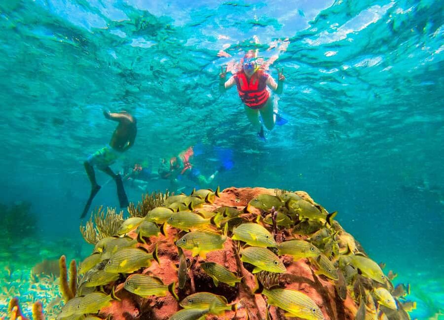Puerto Morelos: National Reef Park Snorkeling & Beach Lunch - A short walk through town