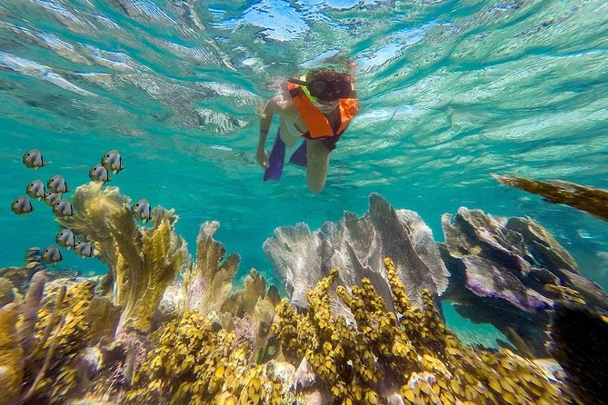 Puerto Morelos Reef Snorkeling Tour with Lunch & Hotel Pickup - Puerto Morelos Fish Market lunch