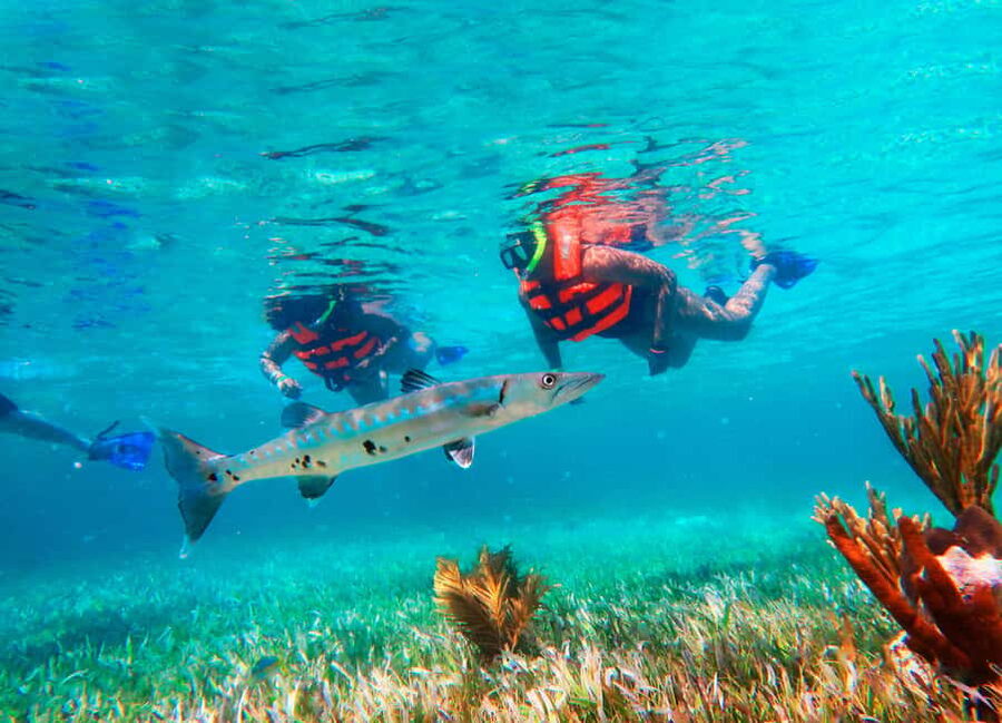 Puerto Morelos: Snorkel, Town Walk, Tequila & Beach Lunch - Key points at a glance