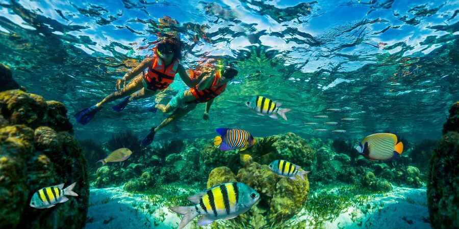 Puerto Morelos: Snorkel, Town Walk, Tequila & Beach Lunch - Why Puerto Morelos makes a good reef trip