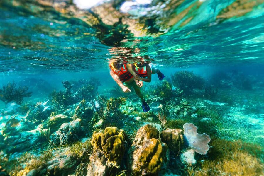 Puerto Morelos: Snorkel, Town Walk, Tequila & Beach Lunch - Tequila tasting after the water