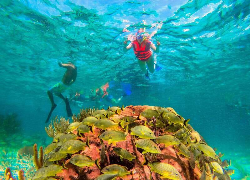 Puerto Morelos: Snorkel, Town Walk, Tequila & Beach Lunch - Puerto Morelos town and the free-time window