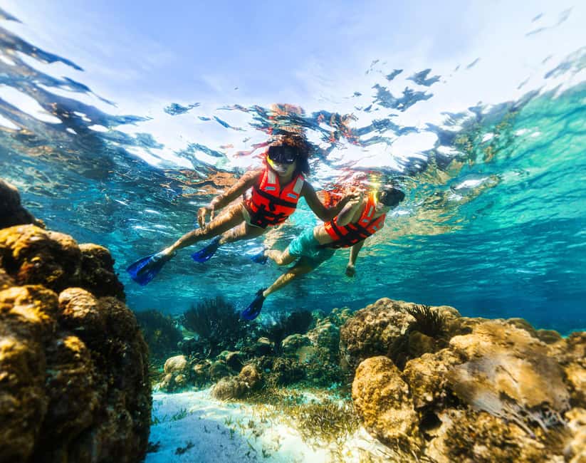 Puerto Morelos: Snorkel, Town Walk, Tequila & Beach Lunch - Who should book this half-day outing