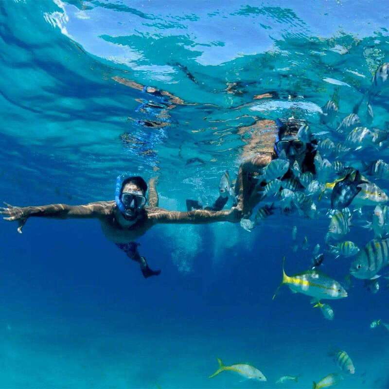 Puerto Morelos: Snorkeling at The National Reef Park - Key points to know before you book