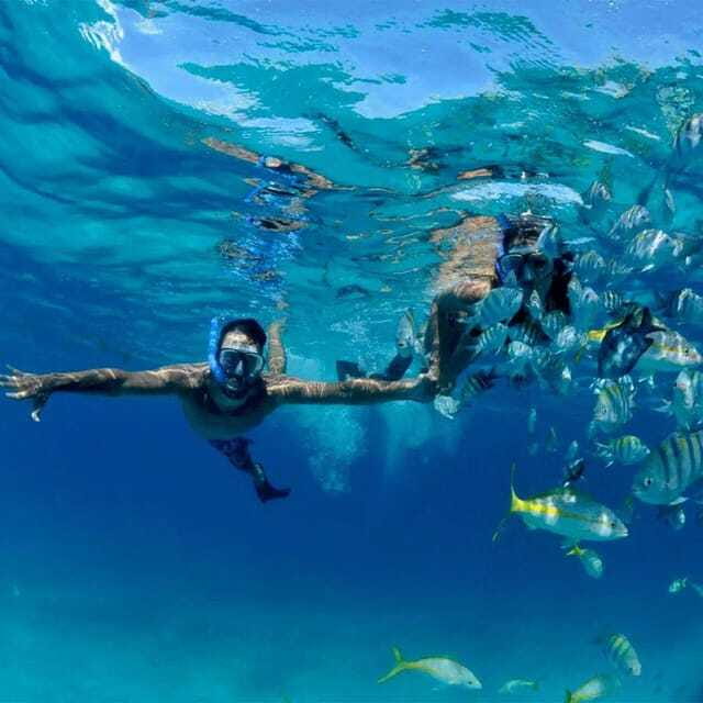 Puerto Morelos: Snorkeling at The National Reef Park - Two shallow reef sites, not one rushed stop