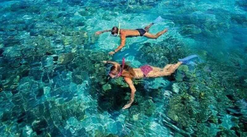Puerto Morelos: Snorkeling at The National Reef Park - What you might see beneath the surface