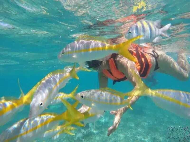 Puerto Morelos: Snorkeling at The National Reef Park - The guide, boat crew, and family comfort