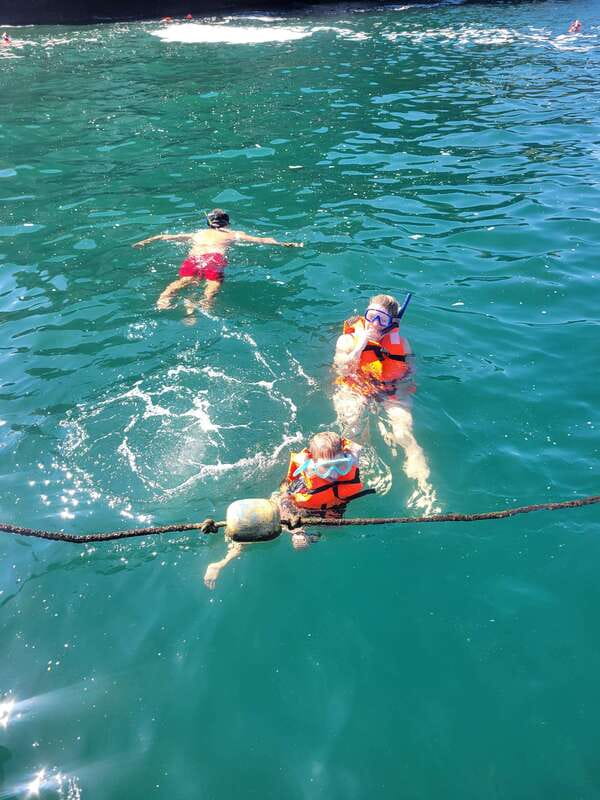 Puerto Vallarta: 3-Hour Whale Watching and Snorkeling - Setting out from the marina