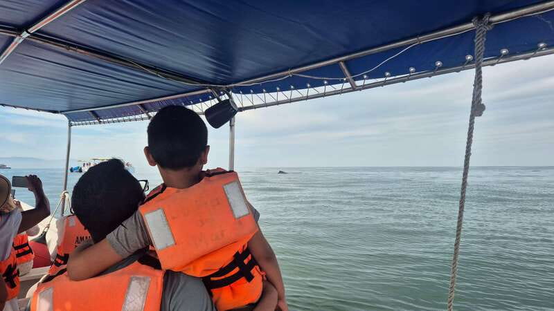 Puerto Vallarta: 3-Hour Whale Watching and Snorkeling - Beach stops, Las Animas, and unexpected extra time