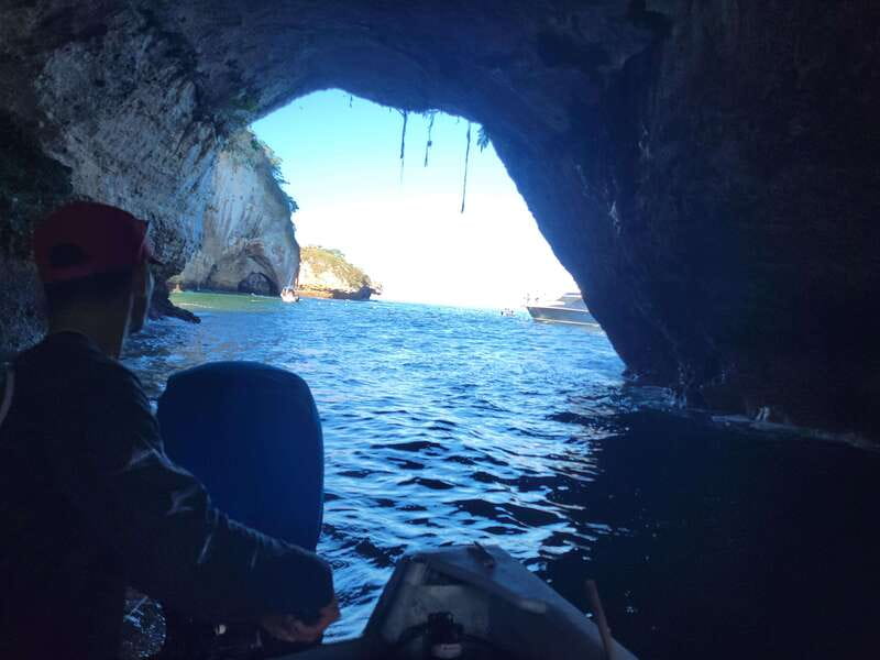 Puerto Vallarta: 3-Hour Whale Watching and Snorkeling - Guide quality and communication