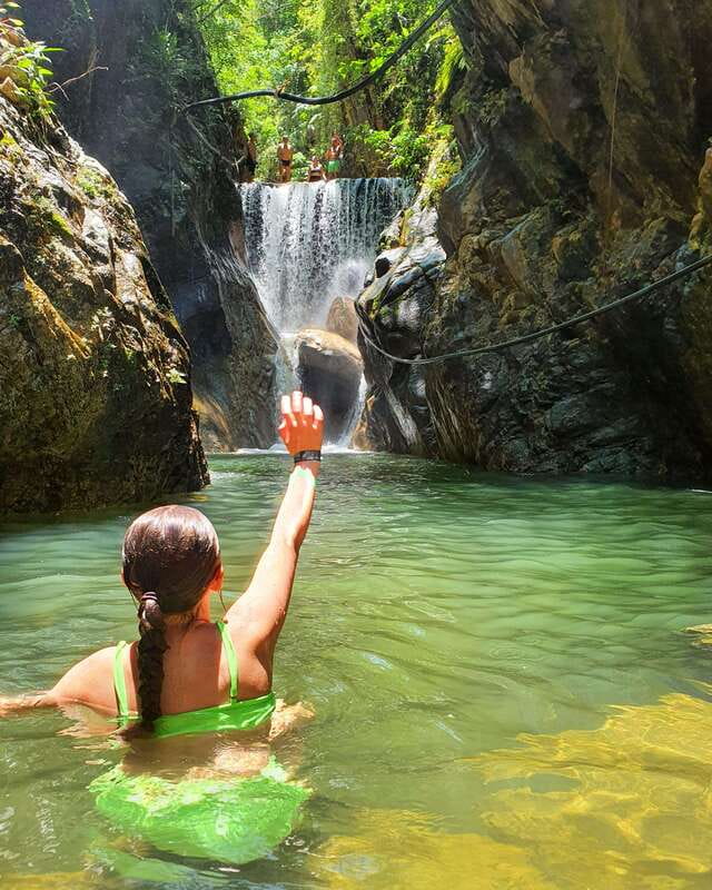 Puerto Vallarta: 4-Hour Jungle Hike and Waterfall Swim - Plants, birds, and the value of a local guide
