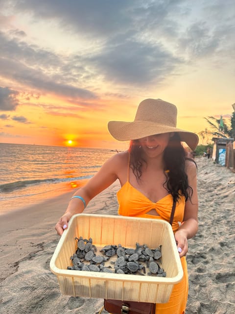 Puerto Vallarta: Baby Turtle Release in Conservation Area - Sunset and the final walk to the shore