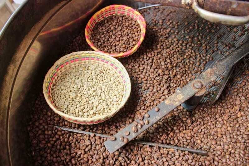 Puerto Vallarta: Botanical Gardens, Distillery & Coffee Tour - Who will enjoy this Puerto Vallarta tour?