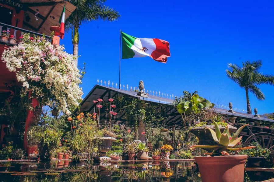 Puerto Vallarta: Botanical Gardens, Distillery & Coffee Tour - Should you book the gardens, distillery, and coffee tour?