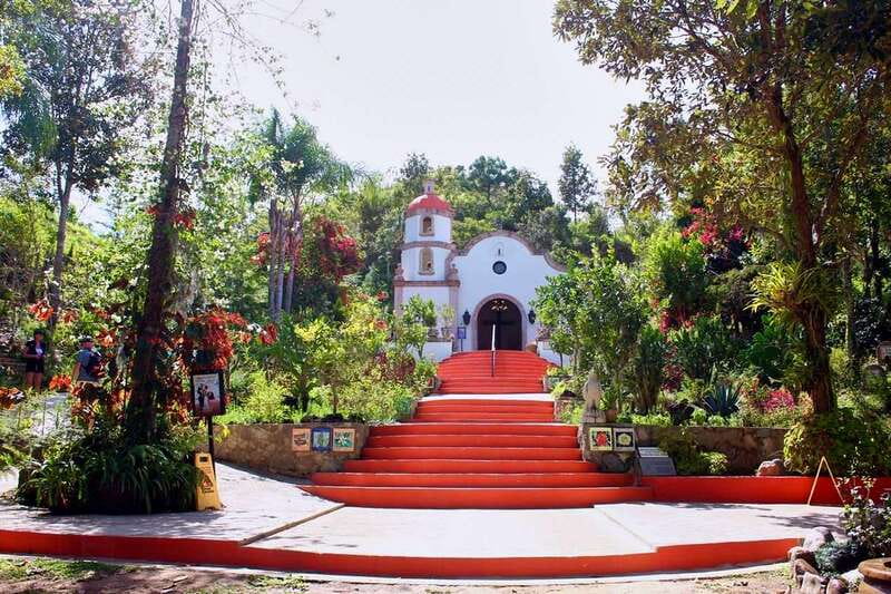 Puerto Vallarta: Botanical Gardens, Distillery & Coffee Tour - Walking through eight hectares of tropical gardens