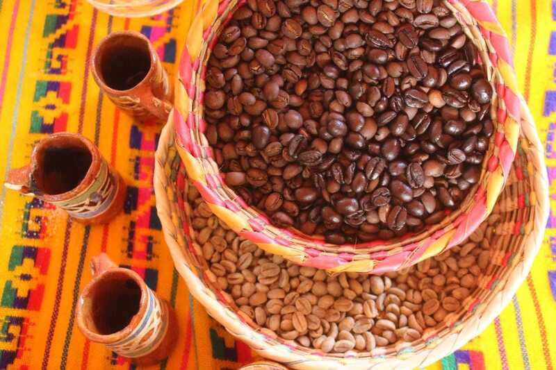 Puerto Vallarta: City Tour, Tequila and Coffee Factory Tour - Who will get the most from this tour