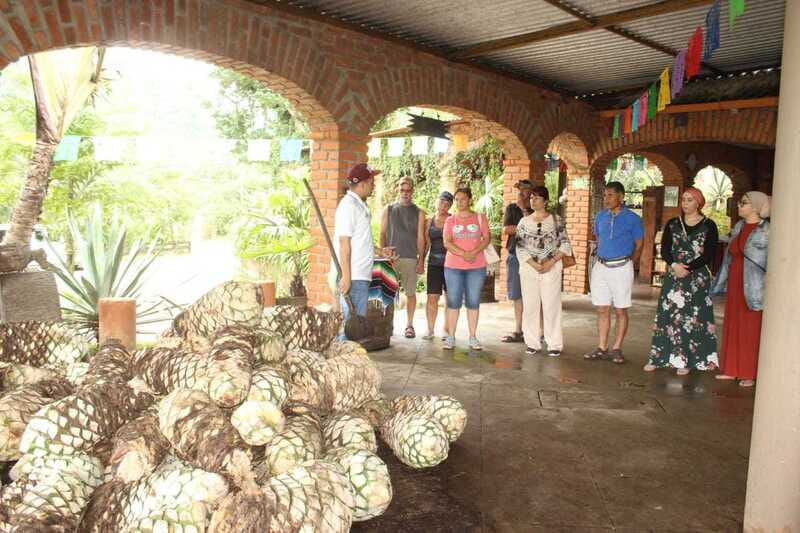Puerto Vallarta: City Tour, Tequila and Coffee Factory Tour - The Church of Our Lady of Guadalupe
