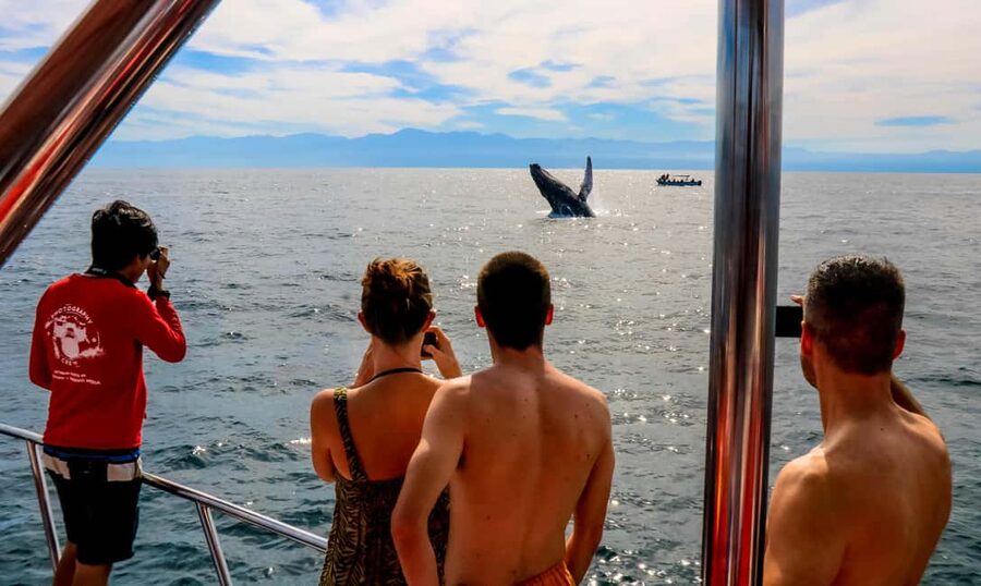 Puerto Vallarta: Mega Yacht Whale Watching Sunset Cruise - Two piers, one Bay of Banderas outing