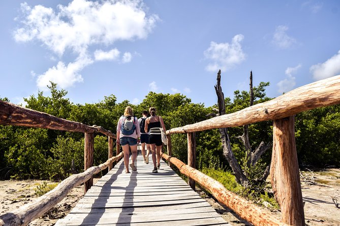 Punta Sur Eco Beach Park Electric Bike Tour in Cozumel - Faro Celarain Lighthouse and the best views
