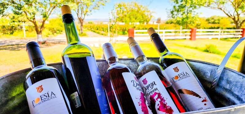 Querétaro: Haciendas, Vineyards, and Magical Towns Day Trip - What the $131 price really covers