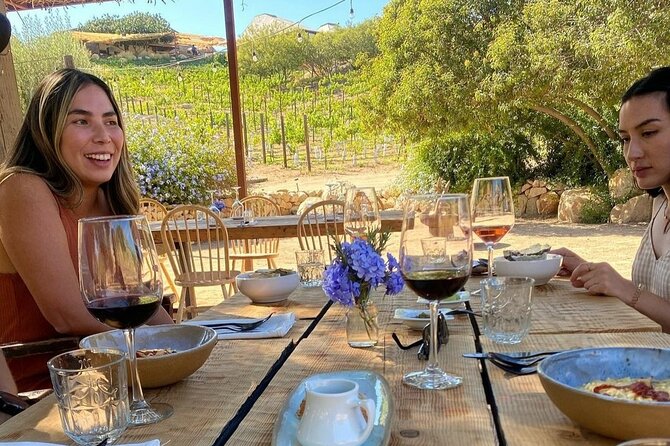 Quiero mas vino, valle de Guadalupe Tours - A private introduction to Valle de Guadalupe wine country