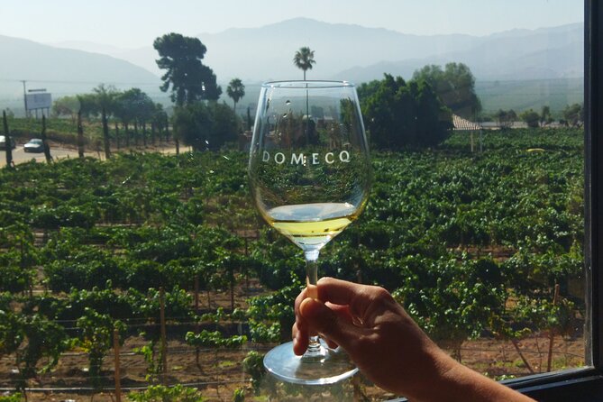 Quiero mas vino, valle de Guadalupe Tours - What the $119.47 price really covers