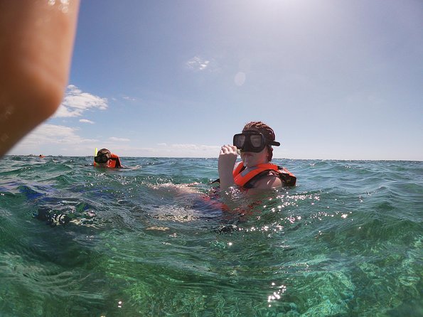 Reef Snorkel In National Park In Puerto Morelos With Lunch And Transportation - What the boat and snorkeling portion feel like
