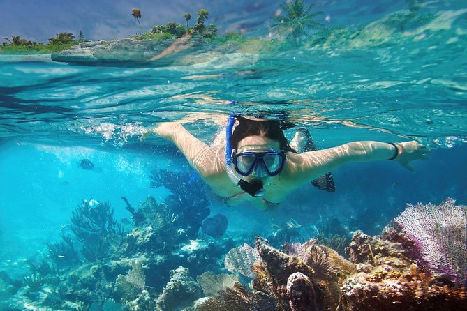 Reef Snorkel In National Park In Puerto Morelos With Lunch And Transportation - The tequila stop can change the mood