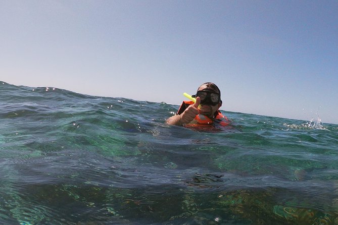 Reef Snorkel In National Park In Puerto Morelos With Lunch And Transportation - Tacos at the beach club