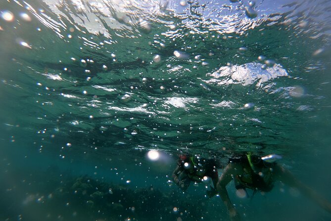 Reef Snorkel In National Park In Puerto Morelos With Lunch And Transportation - The real timing problem is transportation
