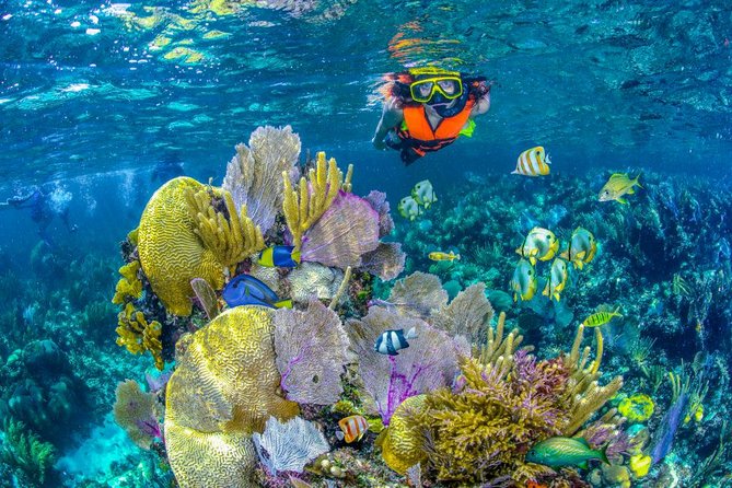 Reef Snorkel In National Park In Puerto Morelos With Lunch And Transportation - Reef rules, sun protection, and photographs