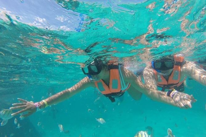 Reef Snorkeling & Jungle Speedboat Adventure with Mayan Ceremony - What the $59 price really buys