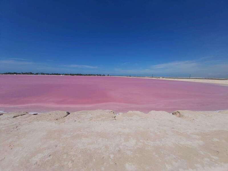 Rio Lagartos and Las Coloradas: Safari Flamingo Luxury - Key things to know before you book
