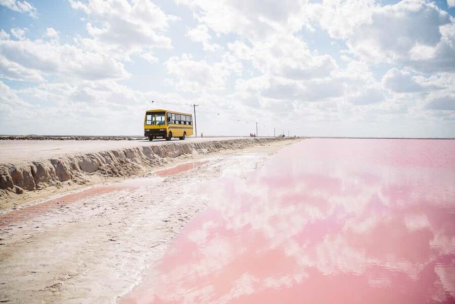 Rio Lagartos and Las Coloradas: Safari Flamingo Luxury - What the 2,300 MXN group price really buys
