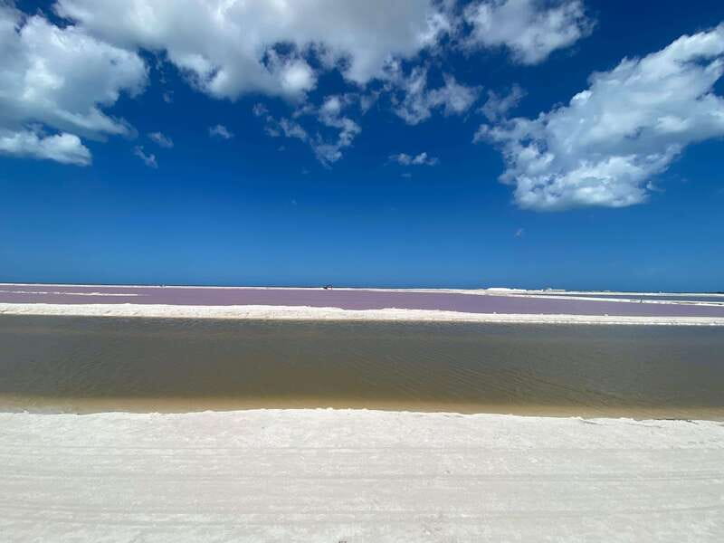 Río Lagartos and Las Coloradas: Wildlife Natural Experience - Key points to know before booking