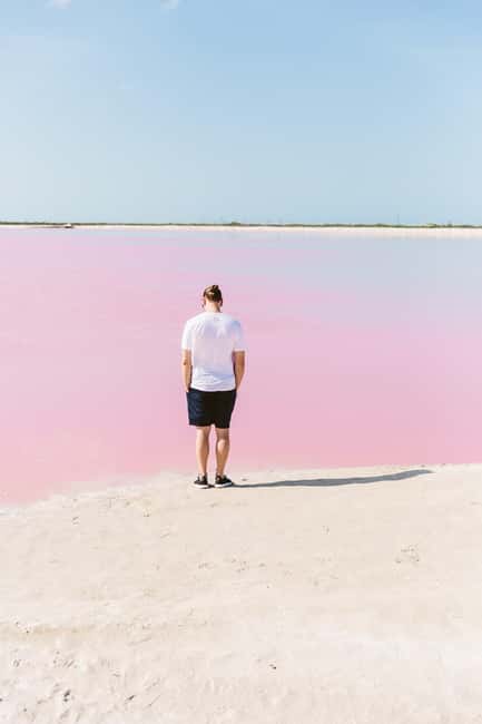 Río Lagartos and Las Coloradas: Wildlife Natural Experience - What the price really includes