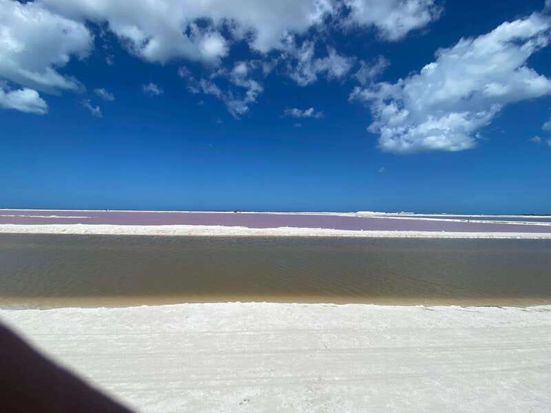 Río Lagartos and Las Coloradas: Wildlife Natural Experience - Watching crocodiles in their natural habitat