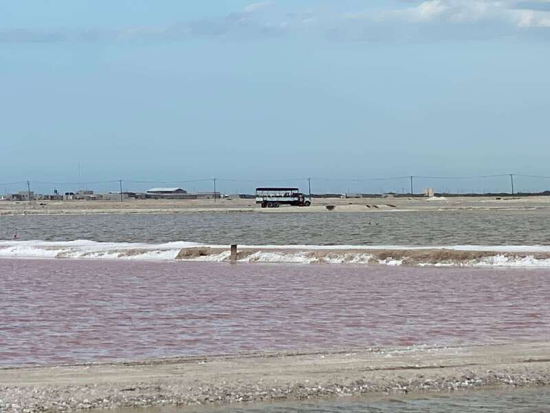Río Lagartos and Las Coloradas: Wildlife Natural Experience - Flamingos across the Río Lagartos wetlands