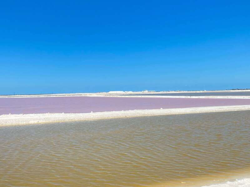 Río Lagartos and Las Coloradas: Wildlife Natural Experience - Cenote swimming, fish spa, and Mayan clay
