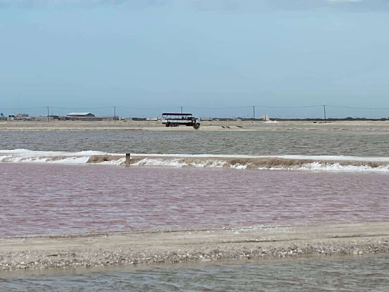 Río Lagartos and Las Coloradas: Wildlife Natural Experience - Finishing at an unspoiled Gulf beach