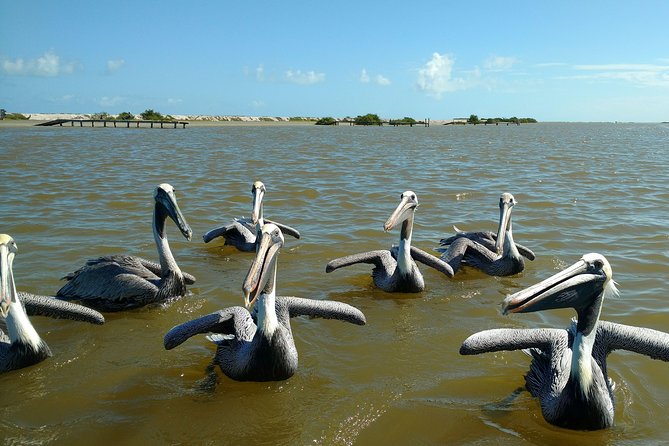 Rio Lagartos guided boat tour- Ek Balam from Valladolid - Ek Balam or Xcanche Cenote?