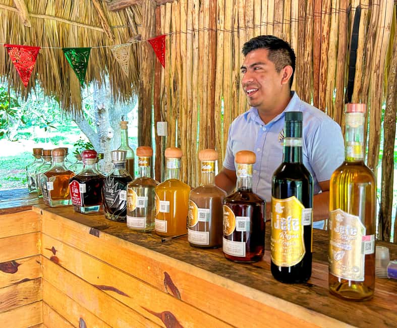 Riviera Maya: Chichen Itza, Valladolid & Cenote Swim Tour - Guides, language, and the human side of the day