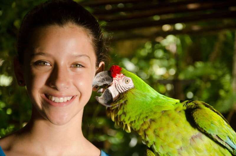 Riviera Maya: Croco Cun Interactive Zoo Tour - Meeting snakes, crocodiles, and turtles